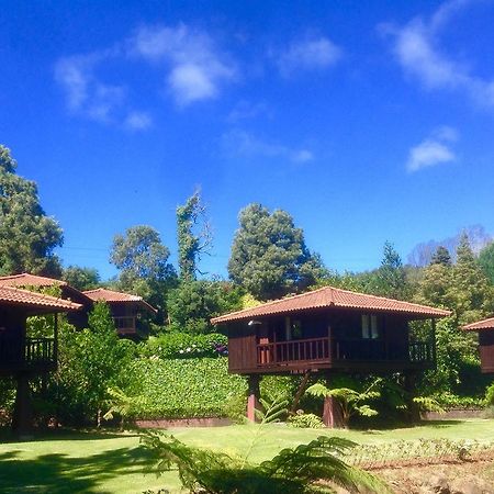 Quinta Das Eiras Santo Antonio da Serra Dış mekan fotoğraf