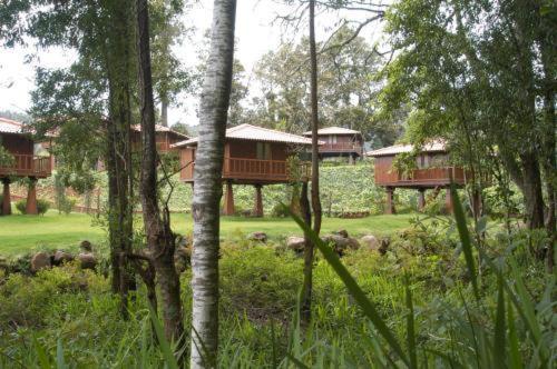 Quinta Das Eiras Santo Antonio da Serra Dış mekan fotoğraf