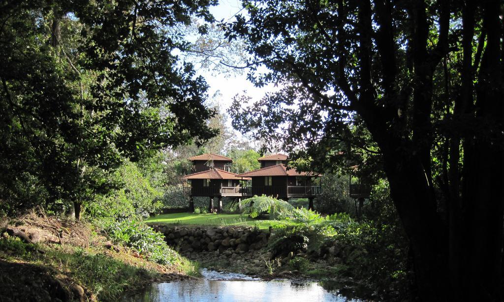 Quinta Das Eiras Santo Antonio da Serra Dış mekan fotoğraf