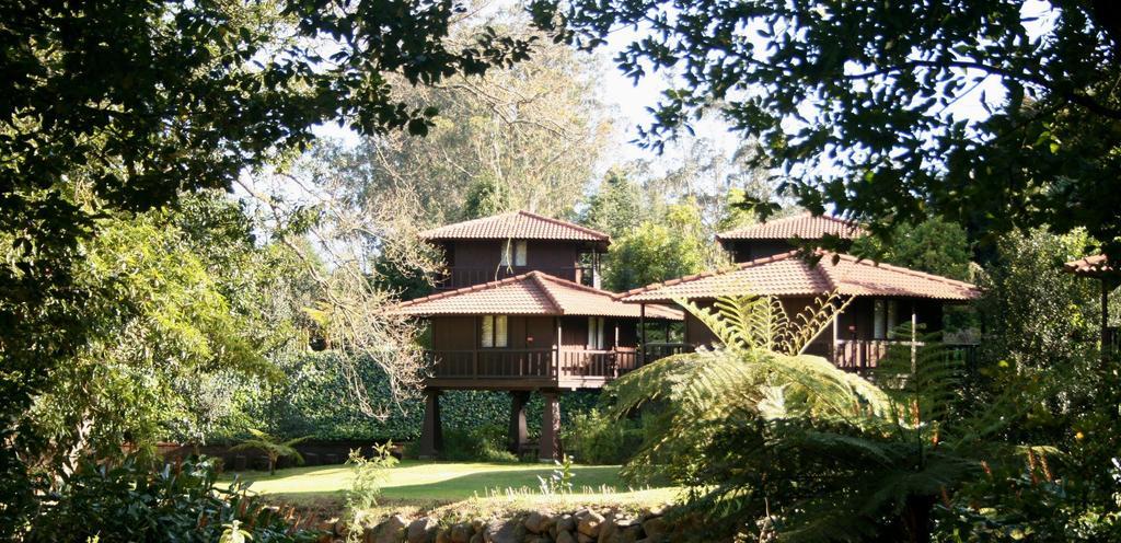 Quinta Das Eiras Santo Antonio da Serra Dış mekan fotoğraf