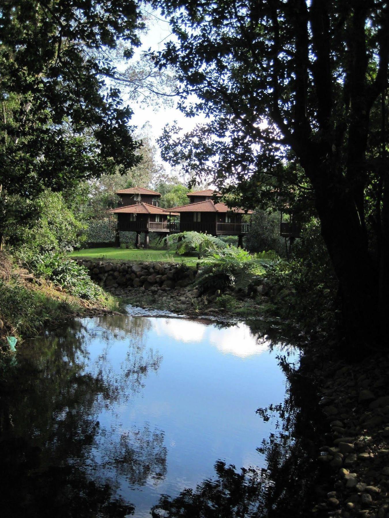 Quinta Das Eiras Otel Santo Antonio da Serra Dış mekan fotoğraf