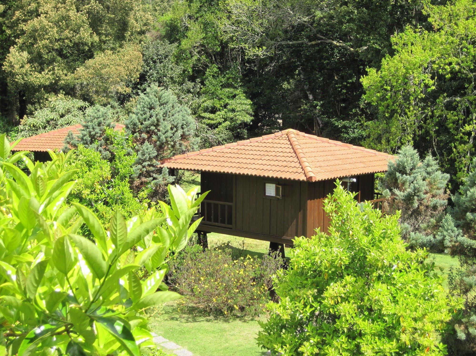 Quinta Das Eiras Santo Antonio da Serra Dış mekan fotoğraf